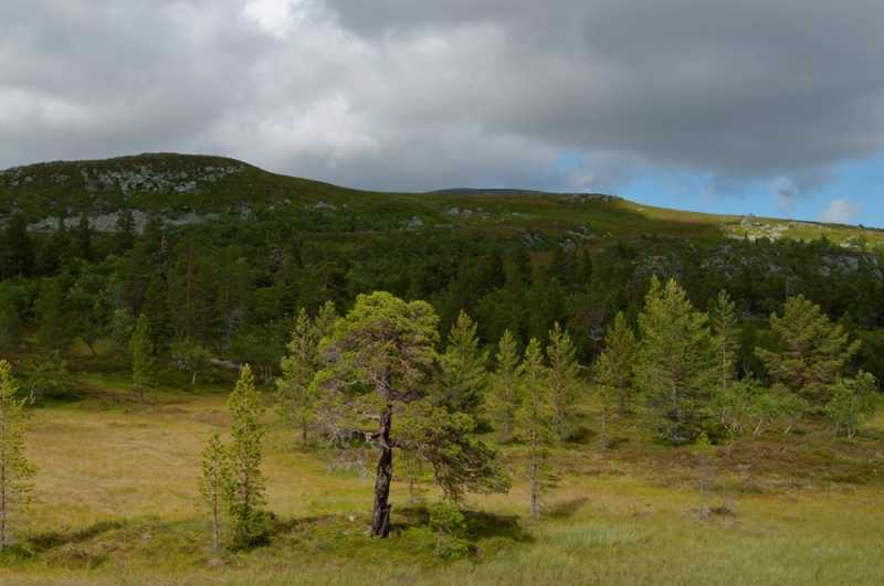 Szlakiem czerwonej drogi